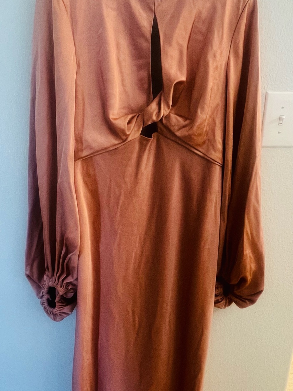 Anthropologie Significant Other Demi Backless gown - Picture 2 of 5